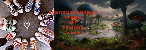 mdpv Касимов