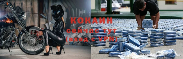 mdpv Касимов